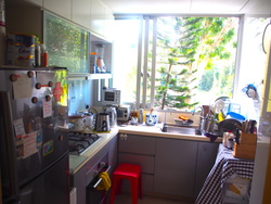Idyllic East (D16), Apartment #164203262